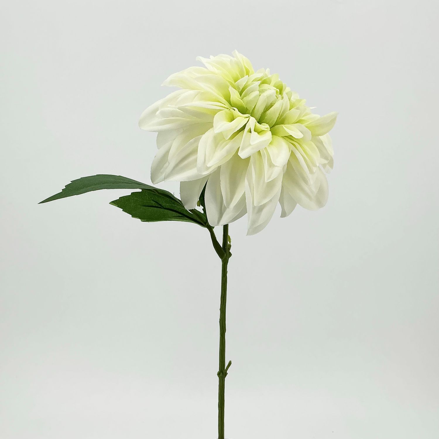 Dahlia Short Stem - 13" - White