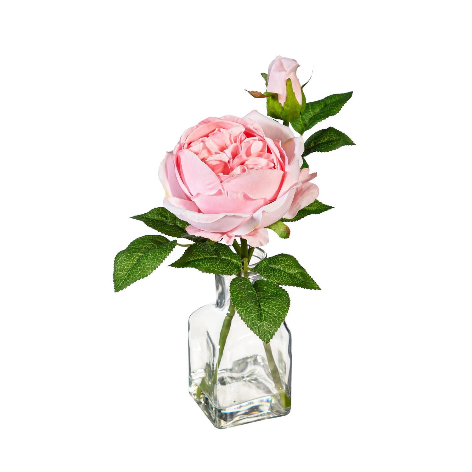 Cabbage Rose In Glass Vase - 2 Styles - Sold Individually