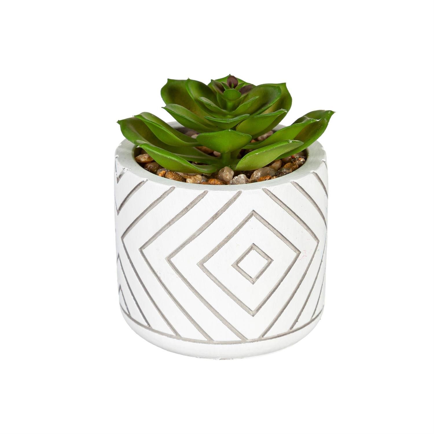Handpainted Succulent Table Decor - 4 Styles - Sold Individually