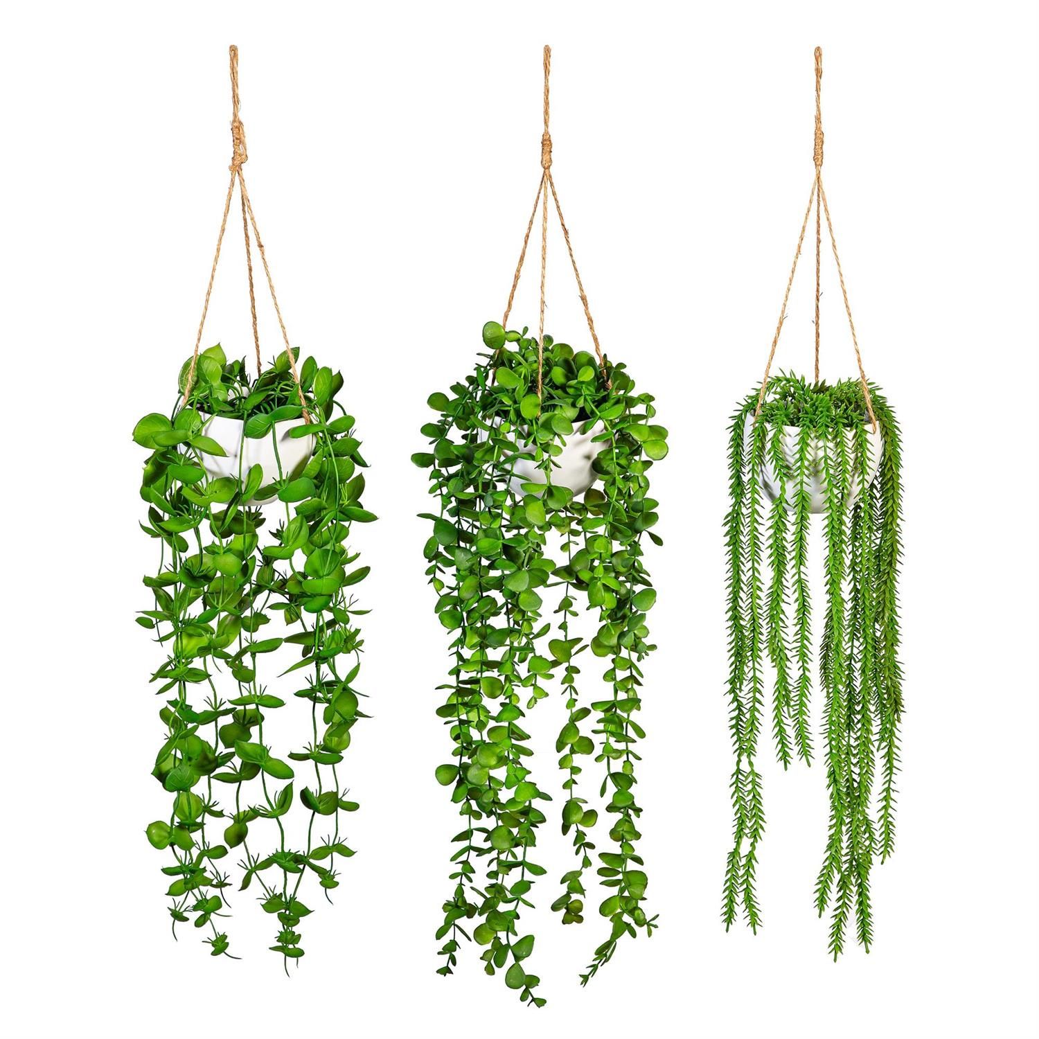 Dripping Succulent Faux Hanging Plant - 20" - 3 Styles - Sold Individually