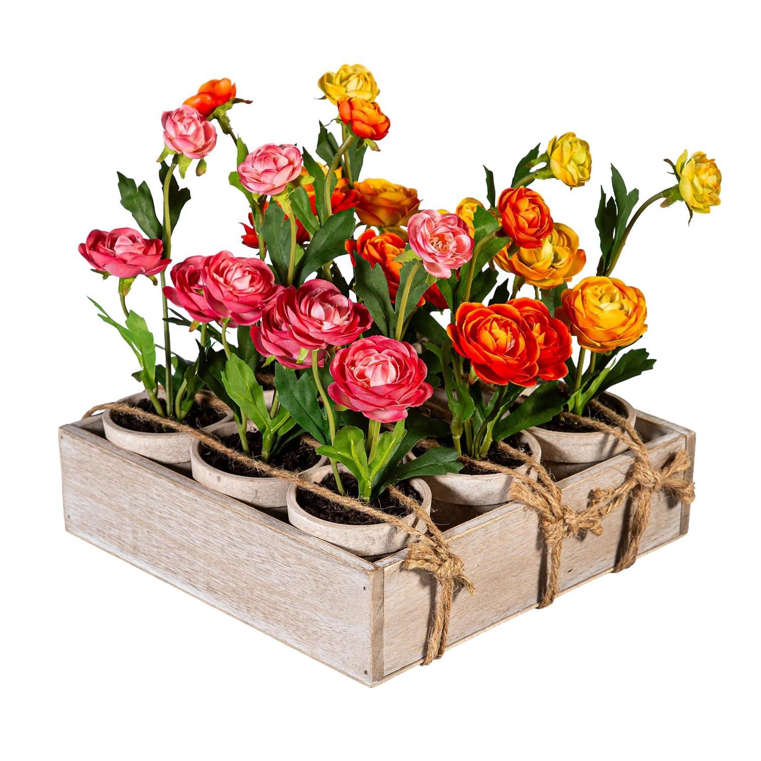 Ranunculus In Cement Pot - 3 Styles - Sold Individually