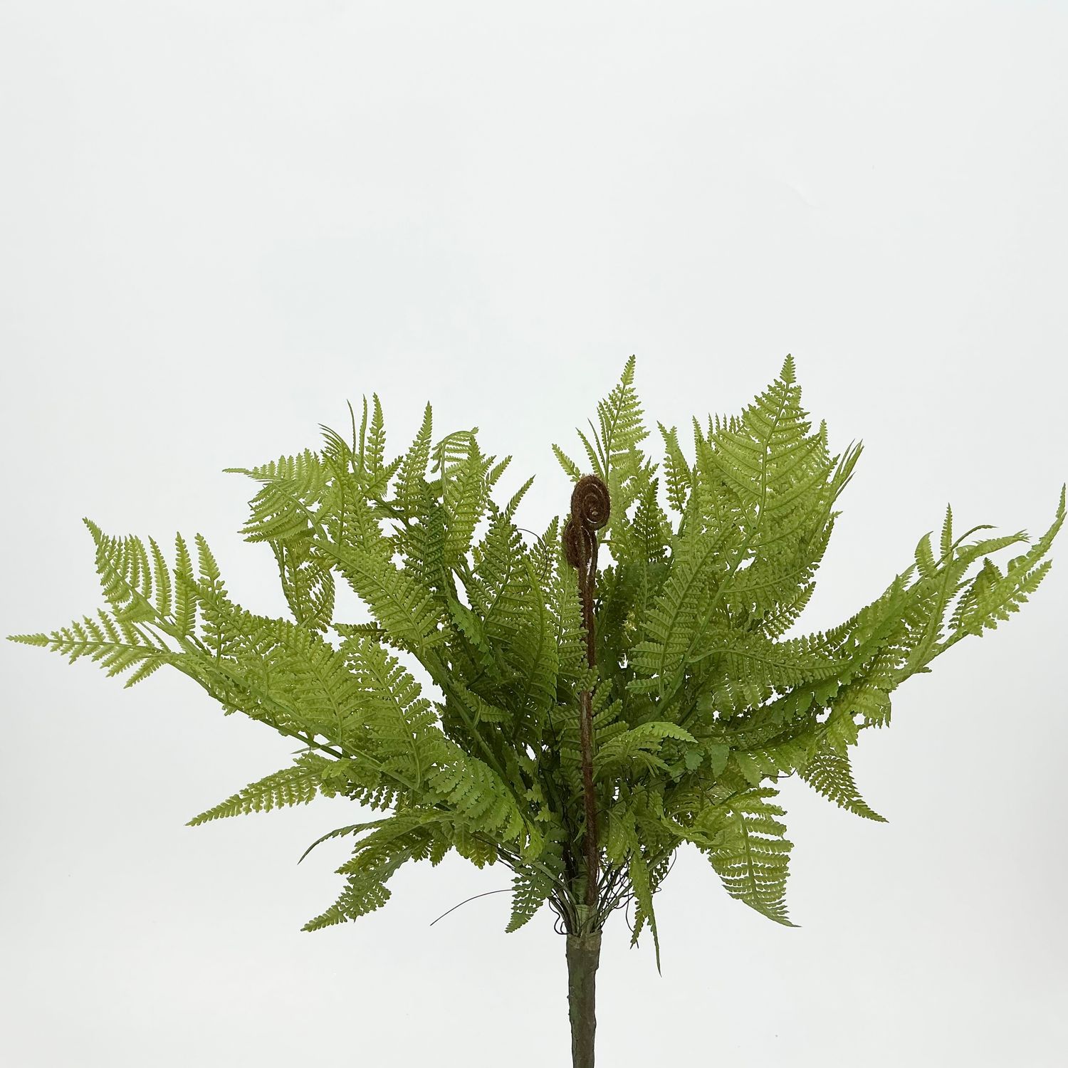 Fern Bush - 15"