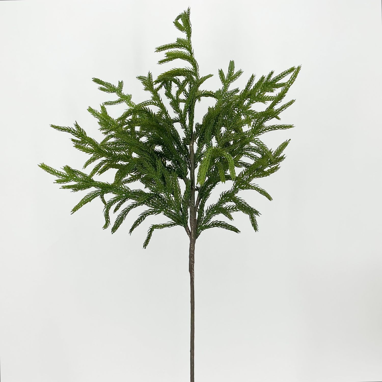 Norfolk Pine Spray - 28" - Green