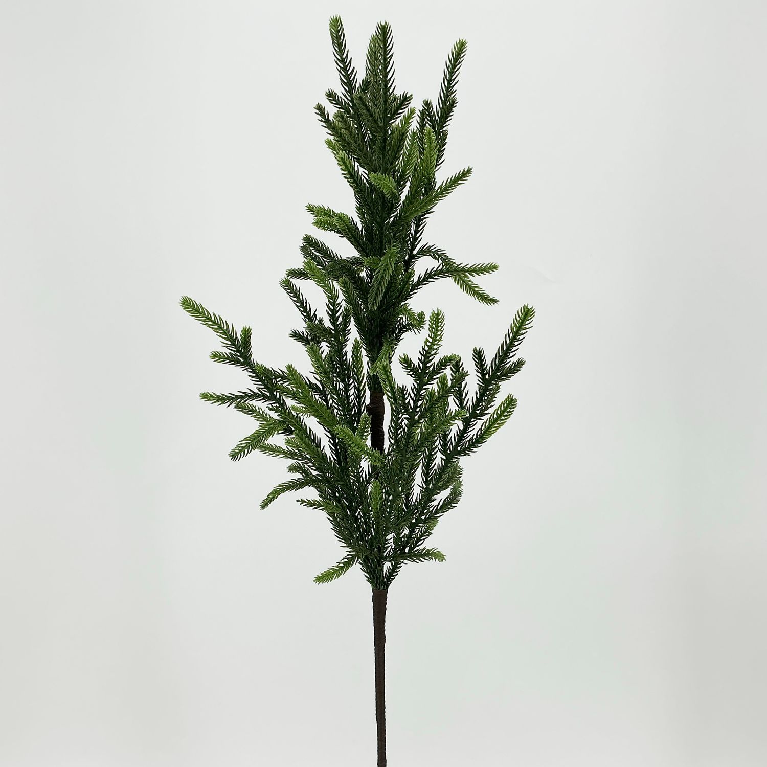 Norfolk Pine Spray - 24" X 10 Tip