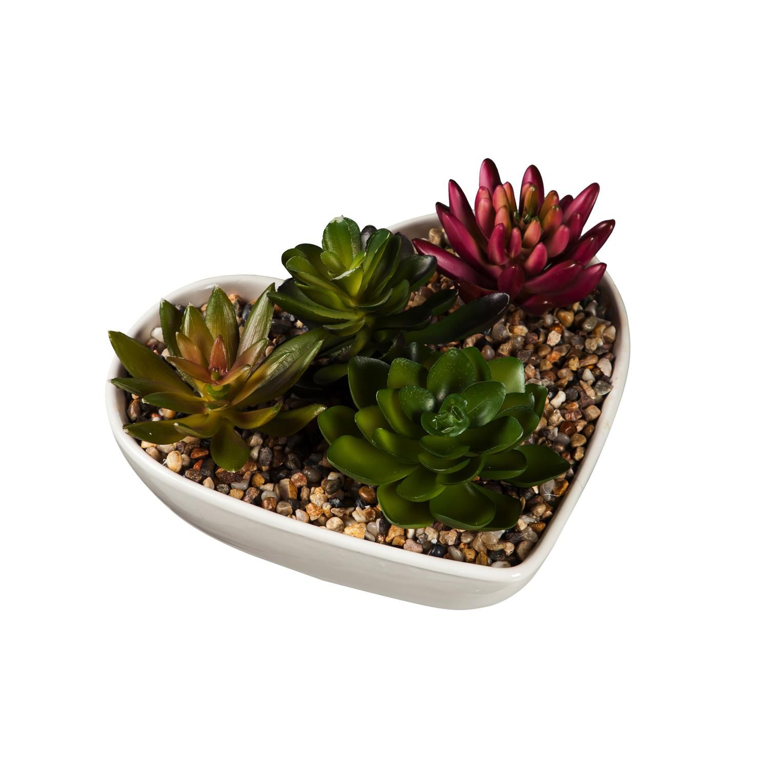 Heart Shaped Dish w/ Succulent