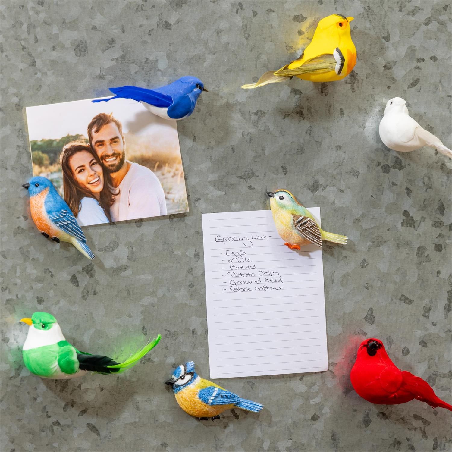 Magnetic Song Bird - 9 Styles - Sold Individually
