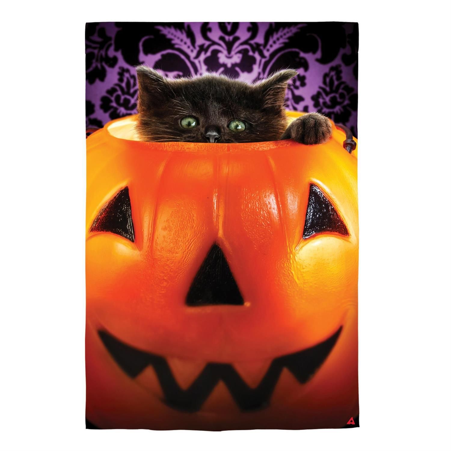 House Flag - Luster - Kitten In Pumpkin Bucket