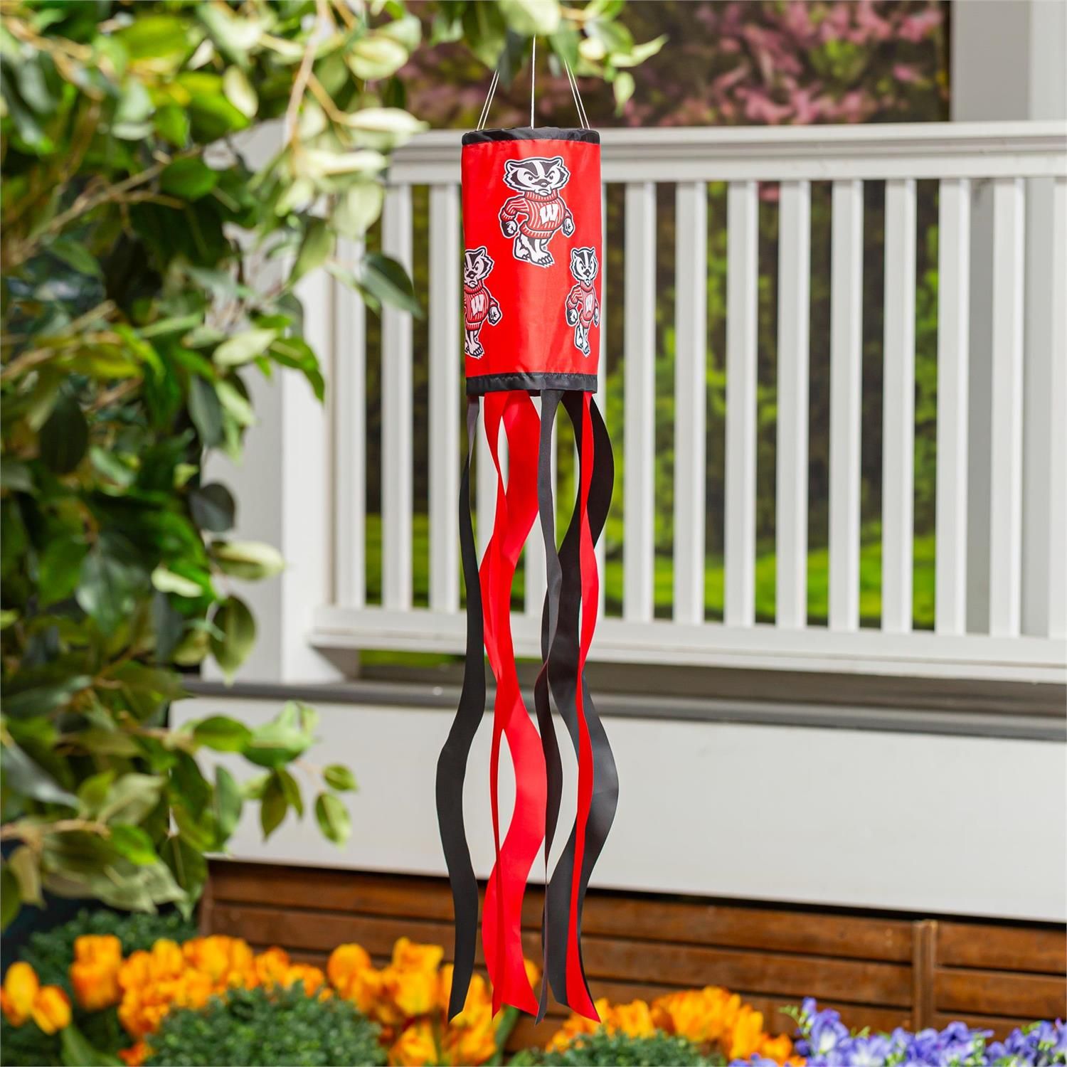 Windsock - University Of Wisconsin-Madison