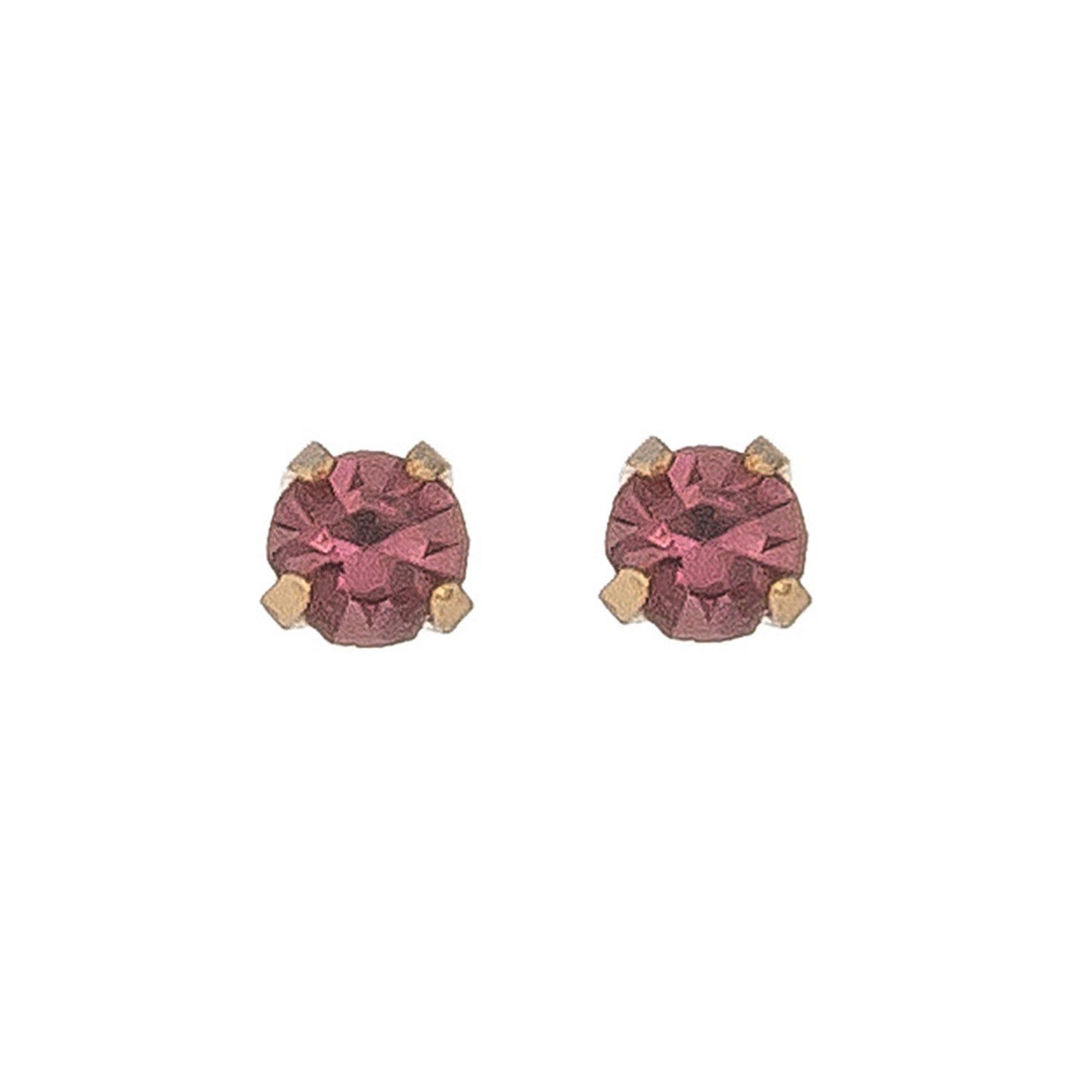 Ear Sense - February Birth Stone Earrings
