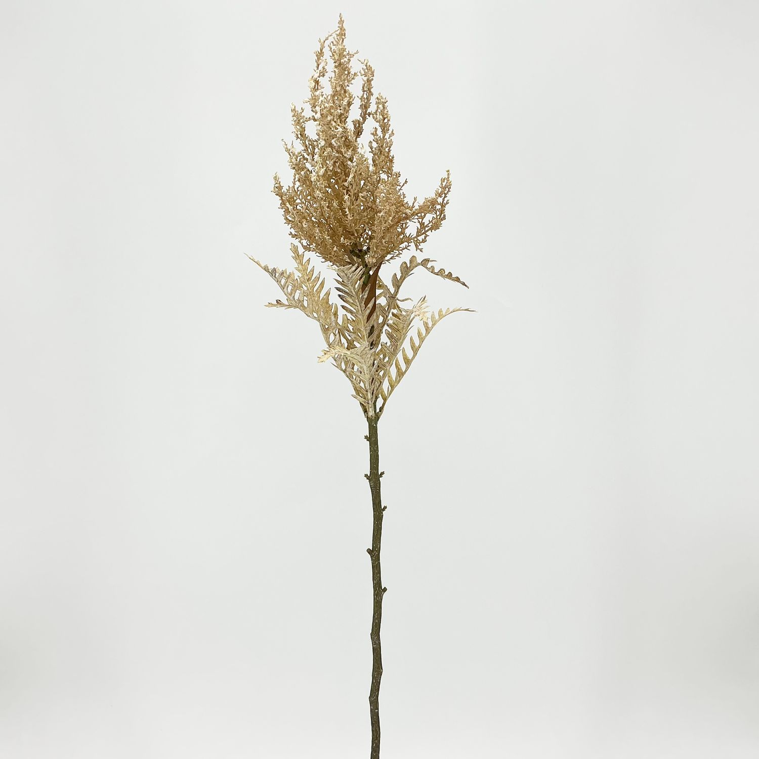 Dried Millet Spray 34" - Beige