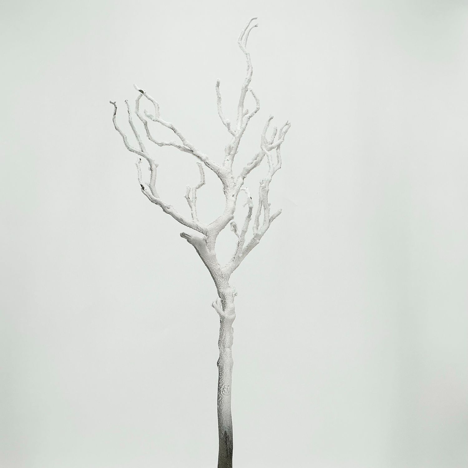Snowed Twig Branch 28" - Brown/White