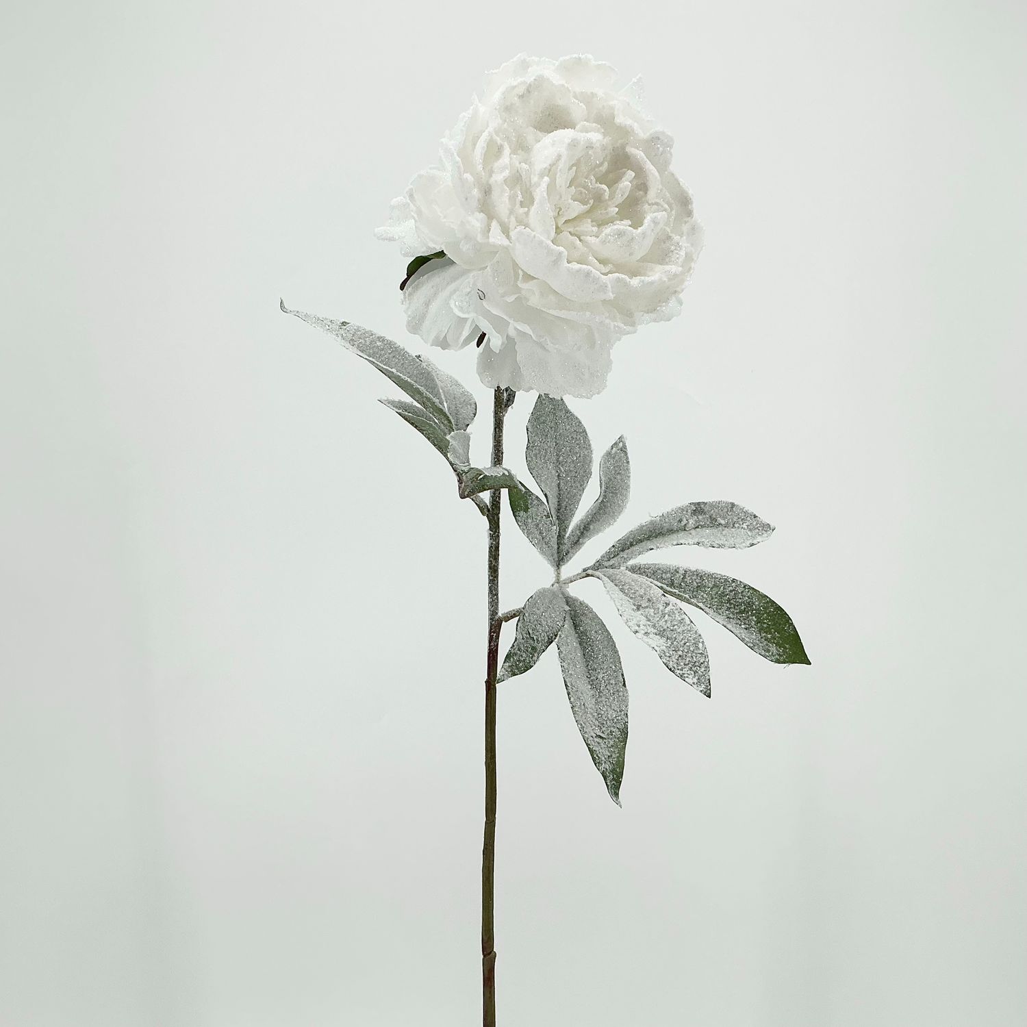 Snowed Peony Spray 28" - White