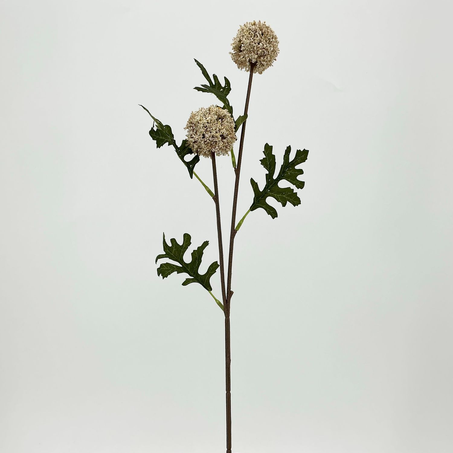 Globe Thistle Spray 23" - Beige