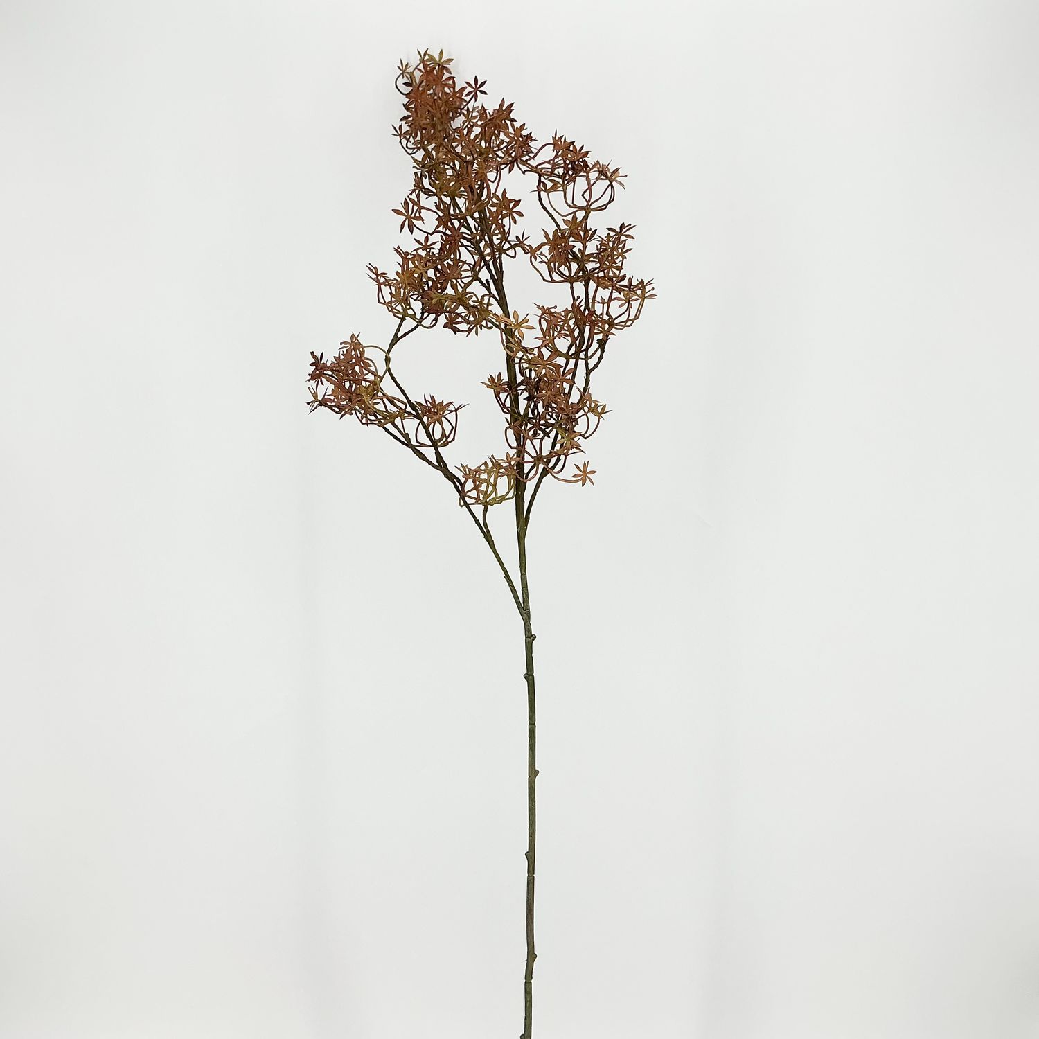 Blossom Spray 41" - Brown