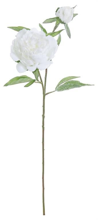 Frosty Peony - 28" - White