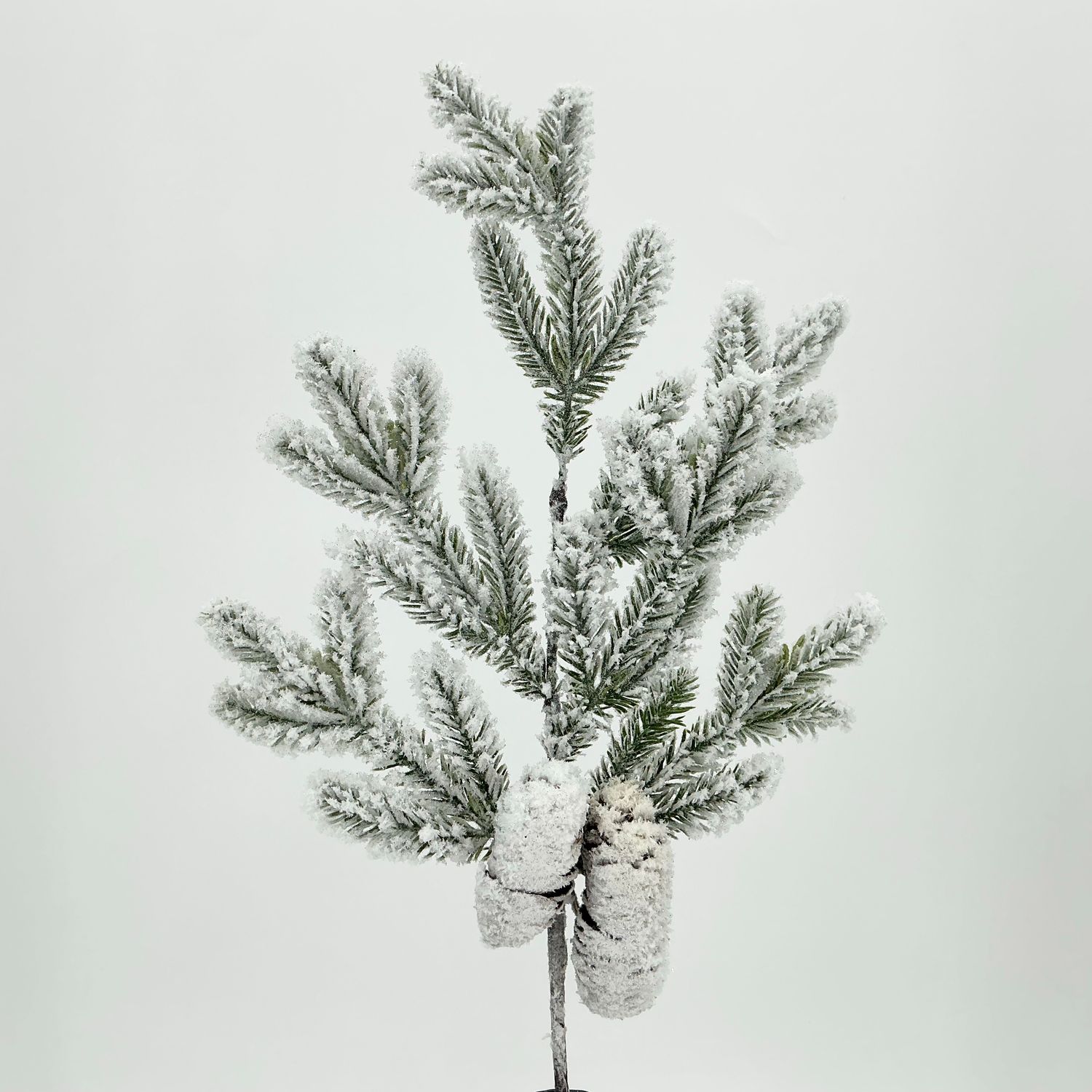 Snow Noble Pine Spray w/ 2 Cones - 20" - White
