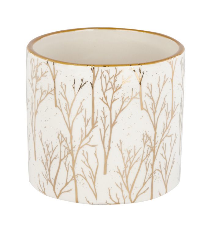 Gold Etched Birch Planter