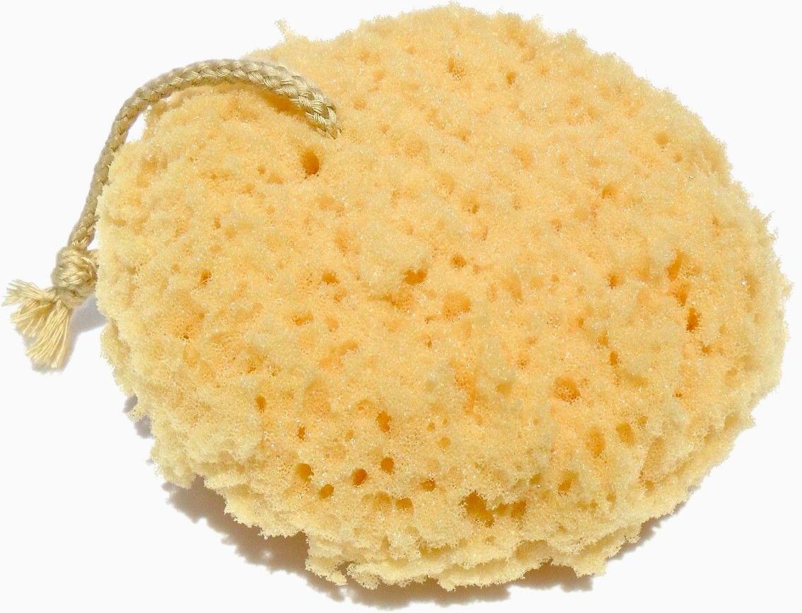 Synthetic Sea Sponge for Exfoliation & Lathering – Coastal Style