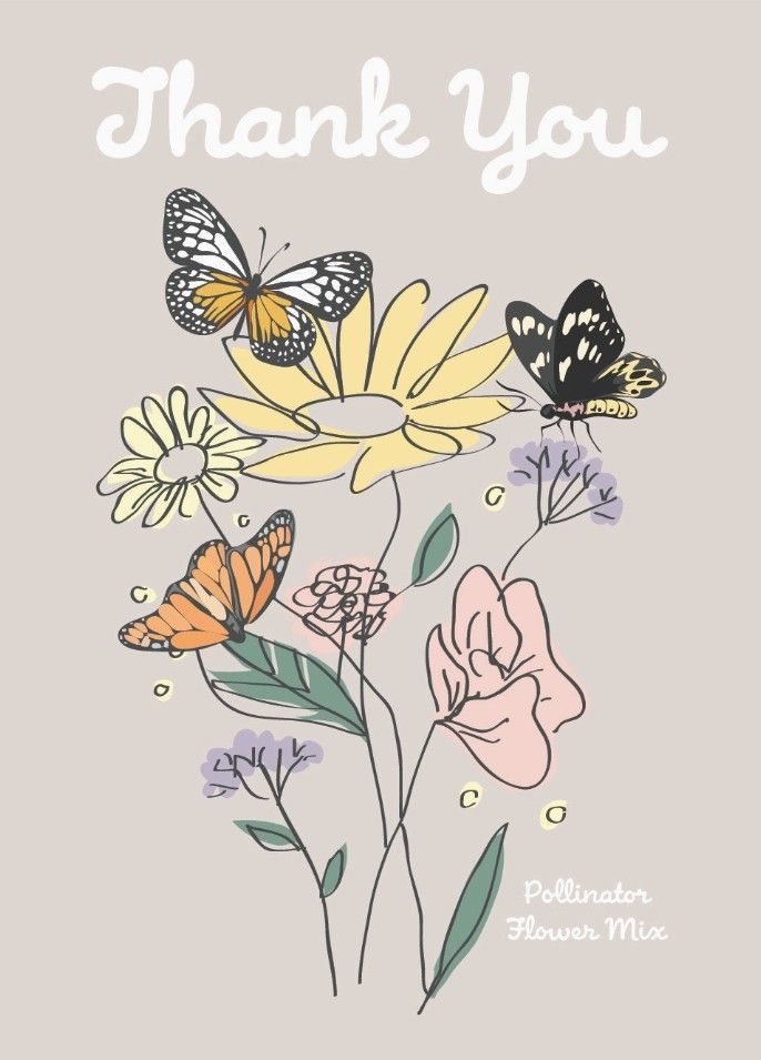 Thank You Butterfly - Pollinator Flower Mix Seed Packets