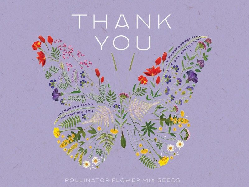 Thank You Butterfly Pollinator - Pollinator Flower Mix Seed Packets