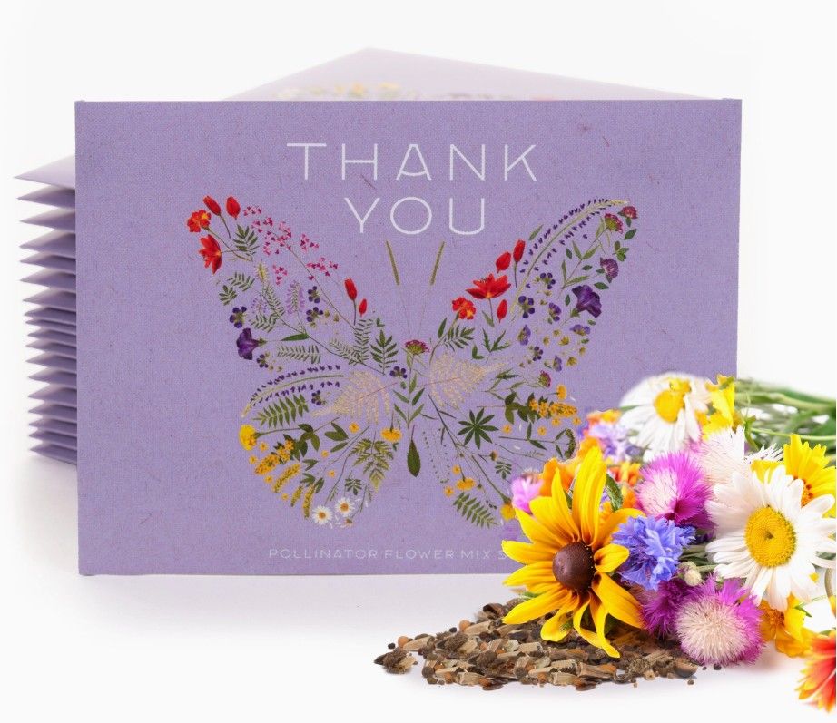 Thank You Butterfly Pollinator - Pollinator Flower Mix Seed Packets