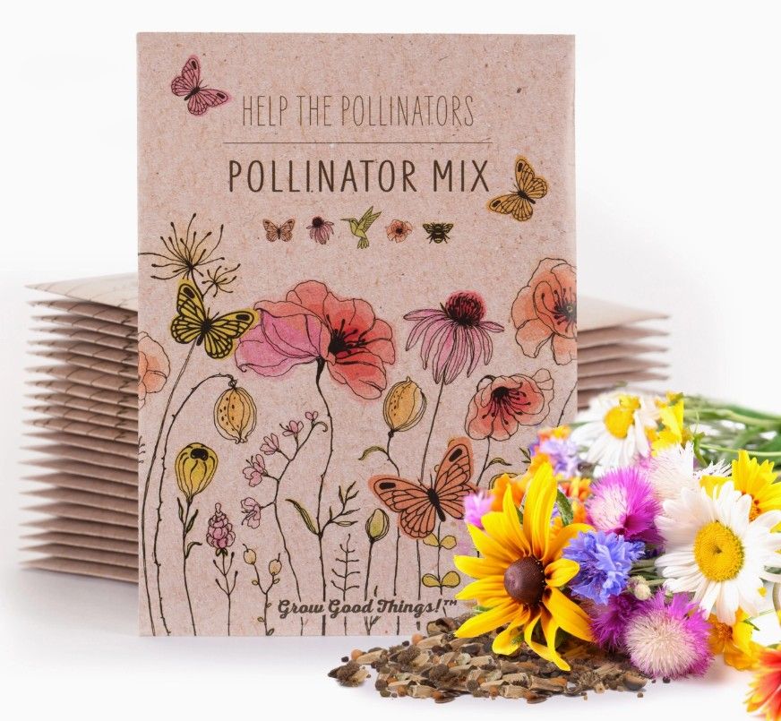 Pollinator Butterfly - Wildflower Mix Seed Packets