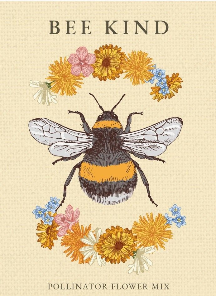 Bee Kind - Pollinator Wildflower Mix Seed Packets
