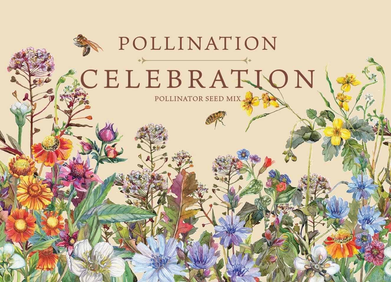 Pollination Celebration - Pollinator Wildflower Mix Seed Packets