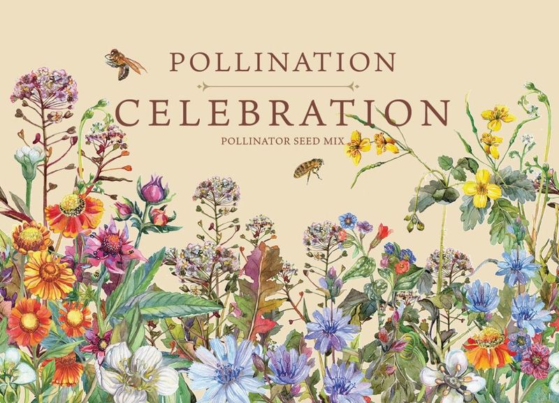 Pollination Celebration - Pollinator Wildflower Mix Seed Packets