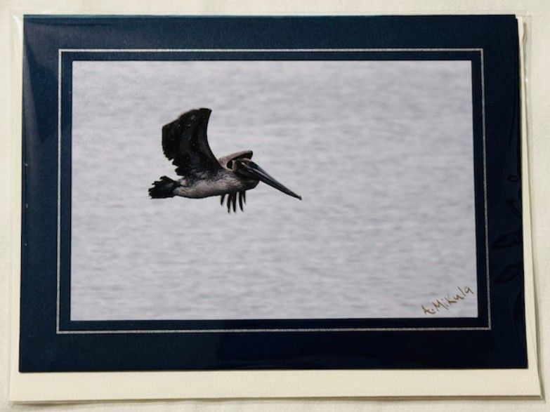 Seaside Flight