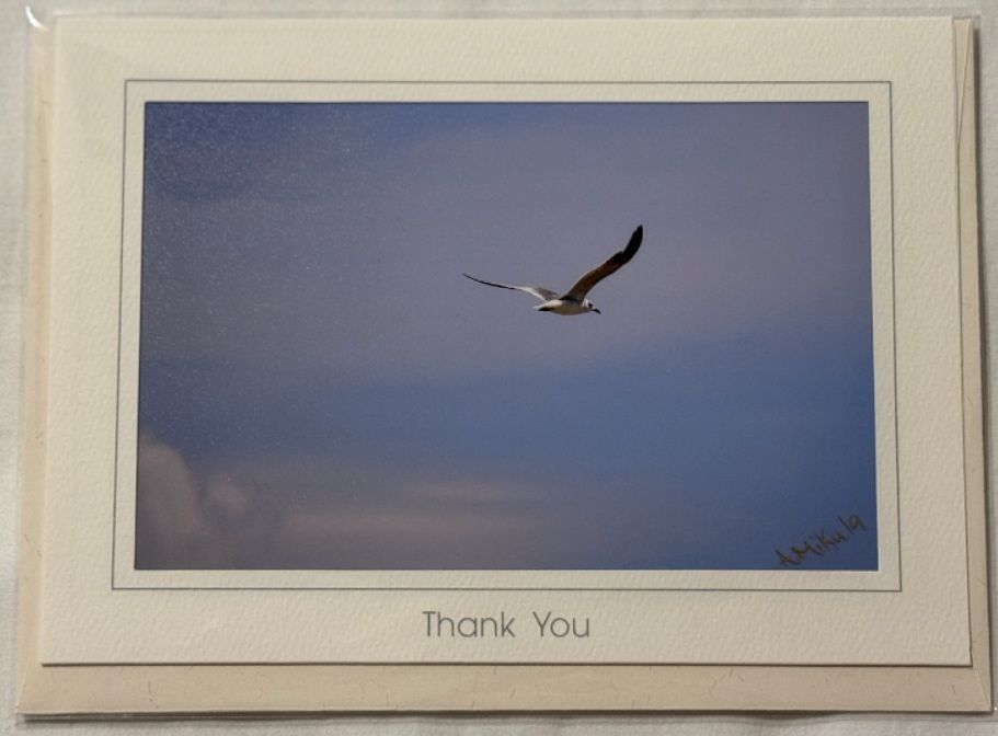 Above the Tides - Thank You