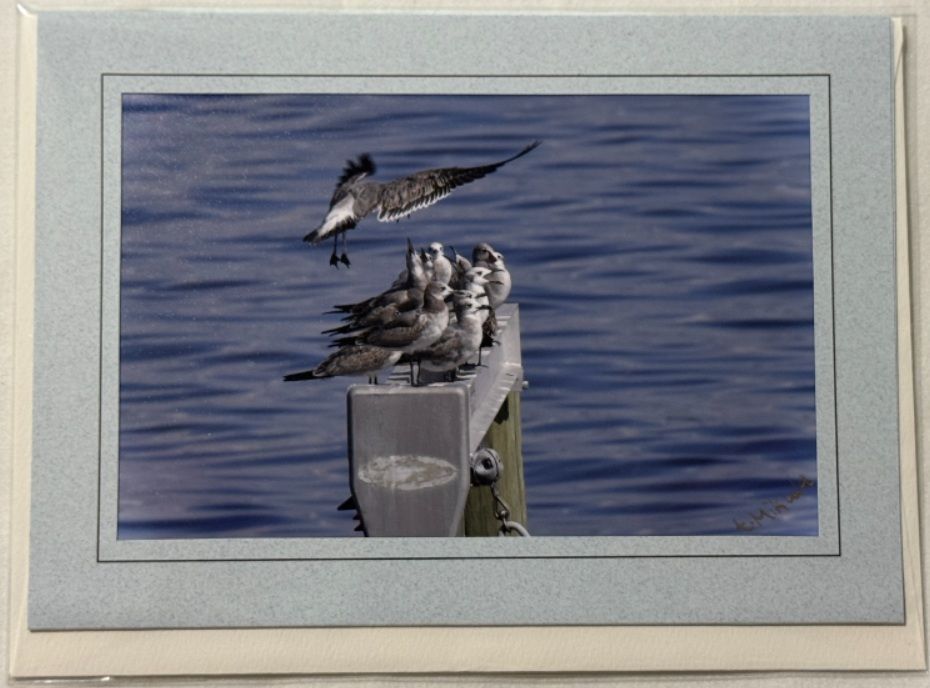 Resting Between Tides