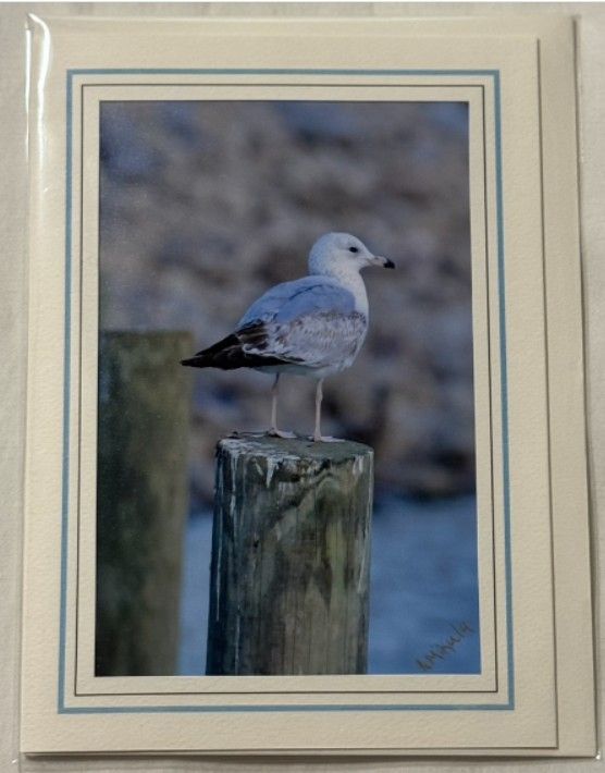 Perched by the Sea