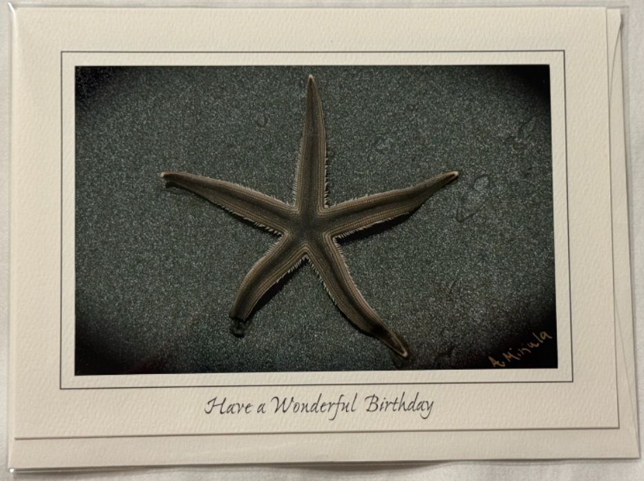 Star of the Sea - Have a wonderful birthday