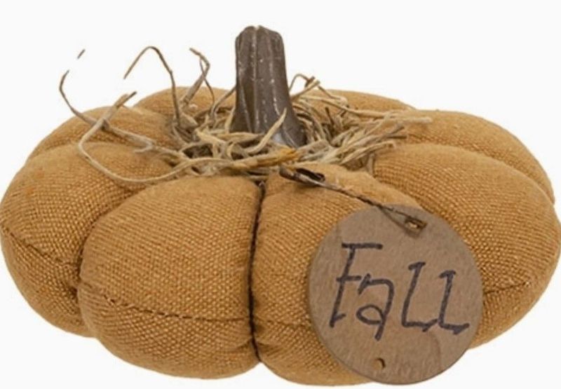 Mini Stuffed Muted Orange Mossy Top "Fall" Pumpkin
