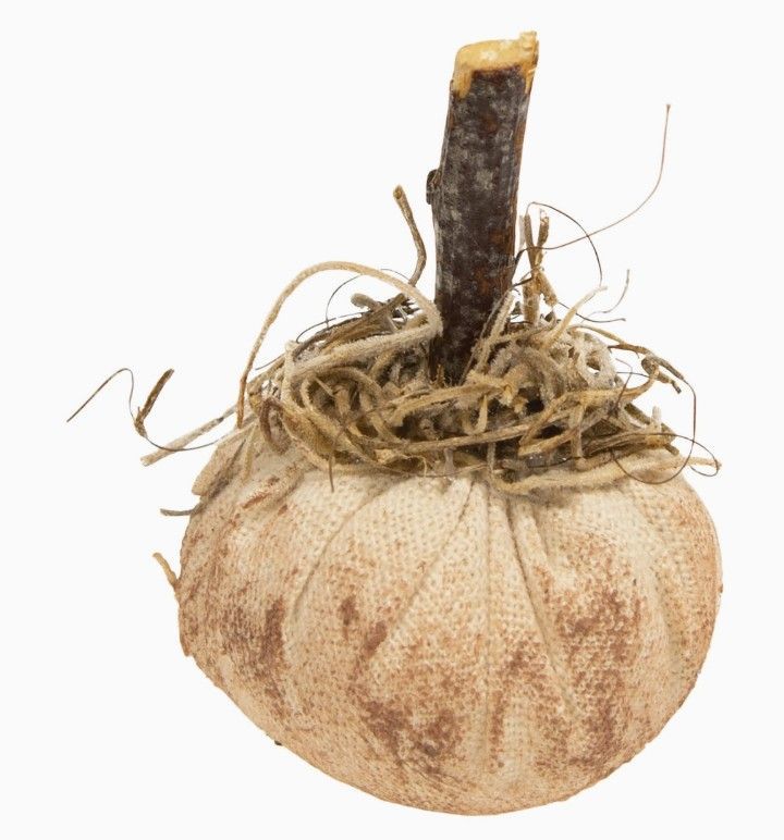 Gathered Mini White Pumpkin