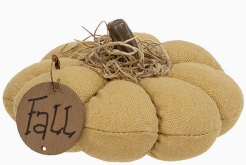 Mini Stuffed Beige Mossy Top "Fall" Pumpkin
