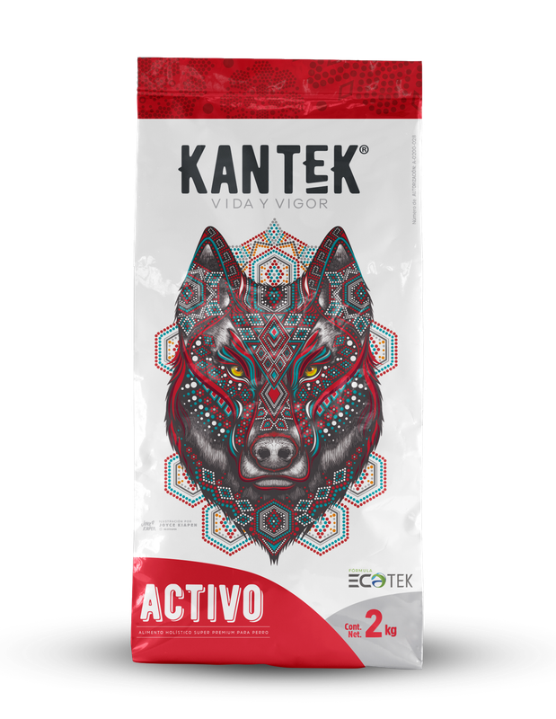 KANTEK ACTIVO