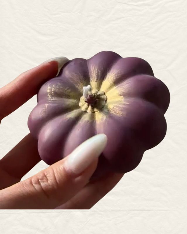 Flattened Pumpkin with Gold