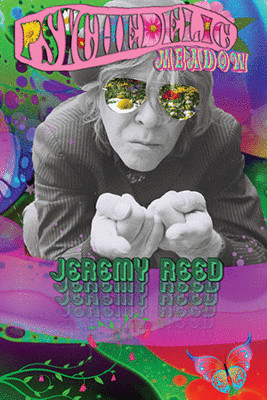 Jeremy Reed - Psychedelic Meadow