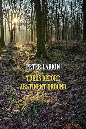 Peter Larkin - Trees Before Abstinent Ground