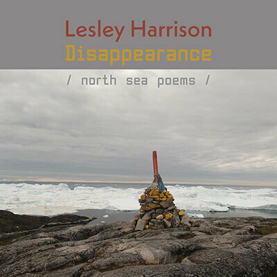 Lesley Harrison - Disappearance