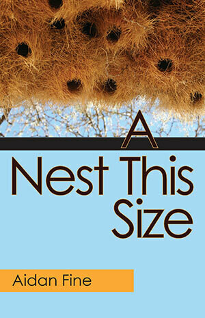 Aidan Fine - A Nest This Size