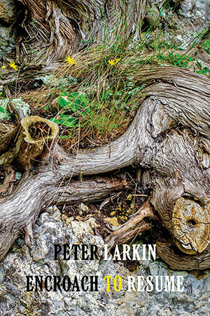 Peter Larkin - Encroach to Resume