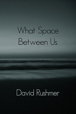 David Rushmer - What Space Between Us