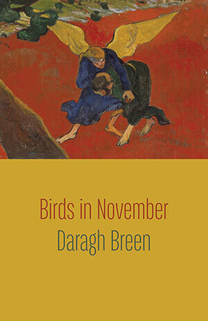 Daragh Breen - Birds in November