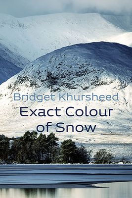 Bridget Khursheed - Exact Colour of Snow