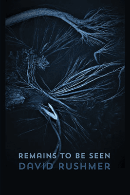 David Rushmer - Remains to Be Seen