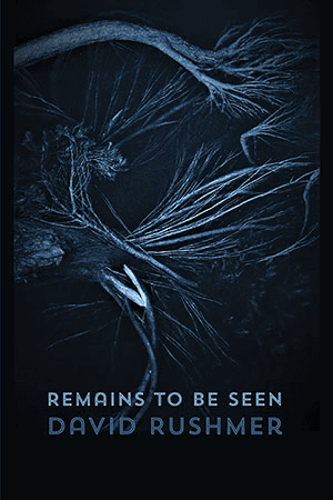 David Rushmer - Remains to Be Seen