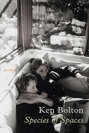 Ken Bolton - Species of Spaces